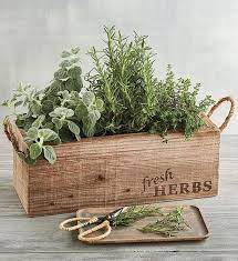 Mother S Day Gifts For The Mom Who Loves To Cook Or Just Eat In 2021 Herb Garden In Kitchen Plant Gifts Planting Herbs