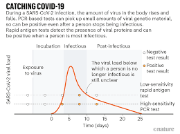 Check spelling or type a new query. Rapid Coronavirus Tests A Guide For The Perplexed