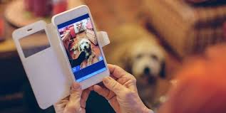 Just like some people, cats can become jealous when they feel they're being excluded or their environment has typical jealous behaviors include hissing, growling, and swatting at the object that the cat is jealous of, such as your cell phone while you are holding it. Is Your Dog Jealous Of Your Phone