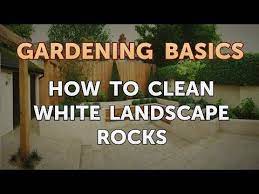 How to make garden stones white again. How To Clean White Landscape Rocks Youtube