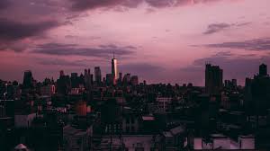 Download Wallpaper 1920x1080 New York Skyscrapers Sunset Clouds Usa Full Hd Hdtv Fhd 1080p Hd Background Download new york sunset wallpaper free from the available resolutions. hd hdtv fhd 1080p hd background