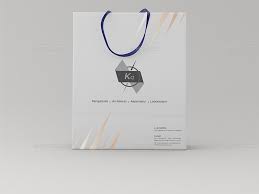 Shopping Bag Paper Bag With Rope Handles Mockups By Wutip Graphicriver