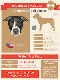 Blue Nose Pitbull Lifespan Complete Health Guide