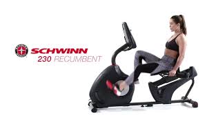 This item is out of stock. Schwinn 230 Exercise Bike Off 66