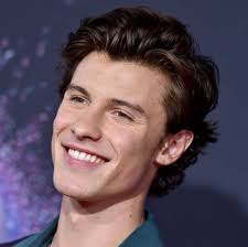 Shawn mendes is 19 years old. Shawn Mendes Concealer For The Amas Red Carpet