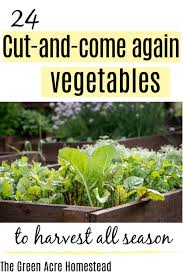 Pin On Backyard Gardening For Beginners