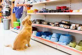 A Beginner's Guide To Opening A Pet Store: Everything You Need To Know -  Small Business Brain