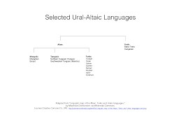 Linguistic Groups Keys To Understanding The Middle East