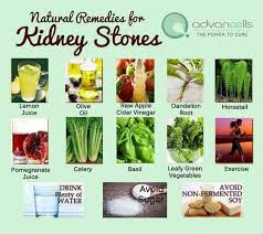 Natural Home Remedies For Kidney Stones One Of The Most Crucial Organs In Our Body Is The Kidneys Kidney Stone Is One Of The Kidney Health Health Health Remedies