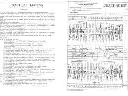 Ppt Dental Charting Powerpoint Presentation Free Download