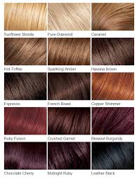 Garnier Fructis Hair Color Chart Hair Color Ideas And