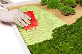 Moosbild Diy Set Do It Yourself Wandbild In 2020 Moosbilder Mooswand Moos