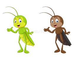 Hi, i am new in this fandom and i am really hooked with this show ( i like cricket. Cartoon Cricket Insect Stock Illustrations 739 Cartoon Cricket Insect Stock Illustrations Vectors Clipart Dreamstime