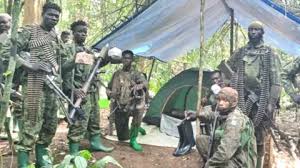 Uganda's army UPDF says more than 200 civilians rescued from ADF in DR Congo