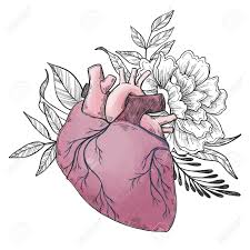 We did not find results for: Hand Drawn Vector Illustrations Human Heart With Flowers And Royalty Free Cliparts Vectors And Stock Illustration Image 72113545