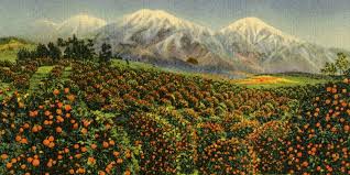 Our shop is open from 9:00 a.m. The Booster Campaigns That Sold Los Angeles Curbed La