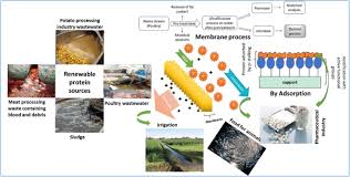 Massimo is a member of the sicilian mafia family and laura is a sales director. Protein Recovery As A Resource From Waste Specifically Via Membrane Technology From Waste To Wonder Springerlink