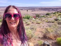 Traveling through Arizona's Painted Desert and Petrified Forest