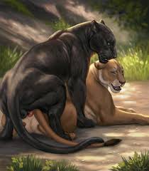 Rule34 - If it exists, there is porn of it  reallynxgirl, bagheera (jungle  book), sarafina  6088768