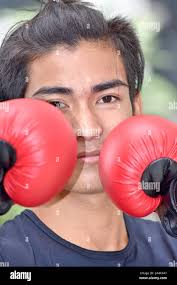 boxer,boxers,boxing) hi-res stock photography and images