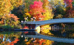 It is located in the exciting new central park complex (just opposite max brenner). Central Park Newyorkcity De