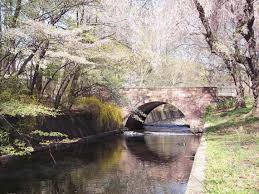 Branch brook park has the largest collection of flowering cherry trees in the united states. Not My Pic Of Cherry Blossoms In Branch Brook Park Belleville Nj But I Was There Today And It Was Amazing Brook Park Nature Photos Belleville
