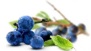 как приготовить настойку из цветков пиона в домашних условиях Kak Prigotovit Nastojku Iz Prigotovlenie Spirtovyh Nastoek V Domashnih Usloviyah