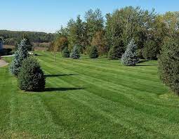 You will find that the cost to maintain an average lawn depends upon the size and accessibility of the lot, the variety and quantity of vegetation, local equipment rental rates. 2021 Lawn Care Services Prices Yard Maintenance Cost