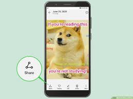 With tenor, maker of gif keyboard, add popular you did this to yourself animated gifs to your conversations. How To Make A Meme With Pictures Wikihow