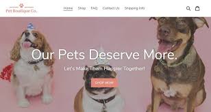 Excellent customer service and free delivery over £19.99. Erstellen Und Spiegeln Einer Website Fur Uber 100 000 Us Dollar Beispiele Aus Dem Wirklichen Leben Whsr