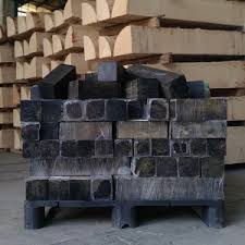 Image result for Diospyros crassiflora