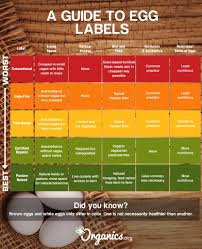White Eggs Vs Brown Eggs Whats The Difference