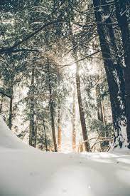 The dates given on this page are based on a winter solstice occurs twice a year, once in december in the northern hemisphere (also called december solstice and midwinter) and once in. The Spiritual Significance Of The Winter Solstice