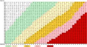 Bei der berechnung wird das aktuelle körpergewicht in relation zur körpergröße gesetzt. Pin Auf Beauty