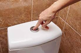We did not find results for: 9 Types Of Toilet Flush Systems Pros And Cons Sensible Digs