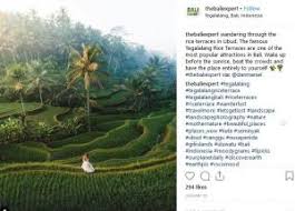 5 Persawahan Terindah Di Indonesia Di Flores Mirip Sarang Laba Laba Bagian All