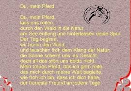Zitate Freundschaft Pferd Schöne Zitate Leben