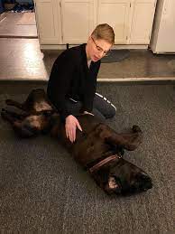 Hello again everyone