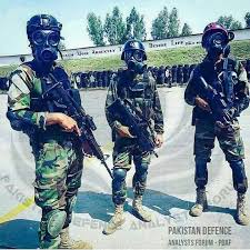 Special Service Group Ssg And Special Service Wing Ssw Pakistan Pakistan Army Pak Army Soldiers Pakistan Armed Forces