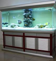 Beautiful Tank Setup Fresh Water Fish Tank Large Fish Tanks Aquariums For Sale