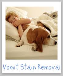 Maybe you would like to learn more about one of these? How To Remove Vomit Stains