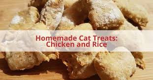 Check out our cat treats chicken selection for the very best in unique or custom, handmade pieces from our shops. Homemade Cat Treats Chicken And Rice Cat Treats