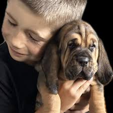 Hi can i get someone to explain what is LTV?? I see it somtimes and i am  curious!! Thank you