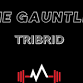 The Gauntlet: Tribrid event image