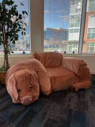 Maybe you would like to learn more about one of these? Craigslist Pig Couch Where Is It The New York Times