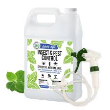 Price and stock could change after publish date, and. Mighty Mint Gallon 128 Oz Insect And Pest Control Peppermint Oil Natural Spray For Spiders Ants And More Non Toxic Ig 128 The Home Depot