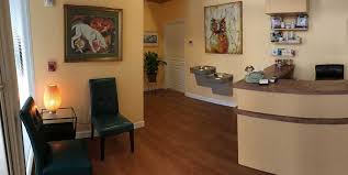 We are tampa animal attic, a full service wildlife removal company servicing tampa, fl. Harbourside Animal Hospital Tampa Fl 33602