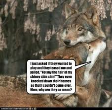 Not By The Hair Of My Chinny Chin Chin Gif The Not So Big Bad Wolf Funny Cats Funny Animal Memes Animals
