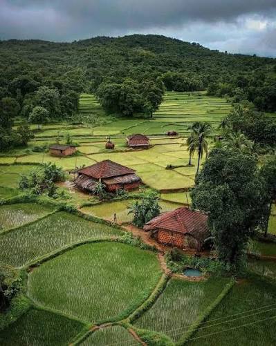 ❤ The terraced land of Konkan perched between Sahyadri hills on the east  and the Arabian Sea on the west offers long stretches of coastal plants  that make for a serene sight