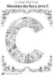 Crayonnage hugo personnel masse enluminure de noel a. Mandala A Imprimer Gratuitement Hugo L Escargot